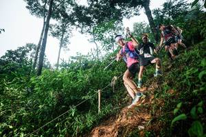 BIB: 
                            <button type="button" onclick="openModal(26201913)" class="btn btn-primary btn-sm float-right btn-popup" data-toggle="modal" data-target=".modal-high-quality">
                        <i class="fas fa-shopping-cart"></i> Add to Cart
                    </button>
                                            <button type="button" onclick="isThisMe(26201913, true)" class="btn btn-success btn-sm float-right btn-popup btn-isme hidden" data-toggle="tooltip" data-placement="bottom" title="นี่คือรูปของคุณใช่ไหม คลิกที่นี่เพื่อเอาเข้าอัลบั้ม">
                        <i class="fas fa-plus"></i> Add to album
                    </button>
                    <button type="button" onclick="isThisMe(26201913, false)" class="btn btn-warning btn-sm float-right btn-popup btn-isnotme hidden">
                        <i class="fas fa-ban"></i> Remove from album
                    </button>